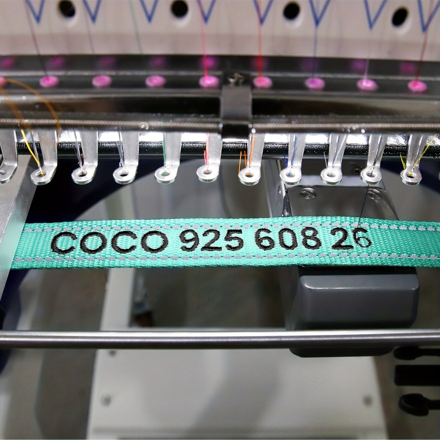 Collar Perros Personalizado (Nombre y Teléfono)