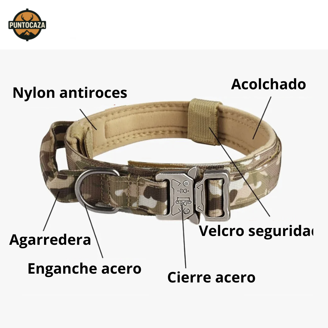 Collar Reforzado para Perros – Acolchado, Ajustable y con Cierre Metálico de Alta Resistencia