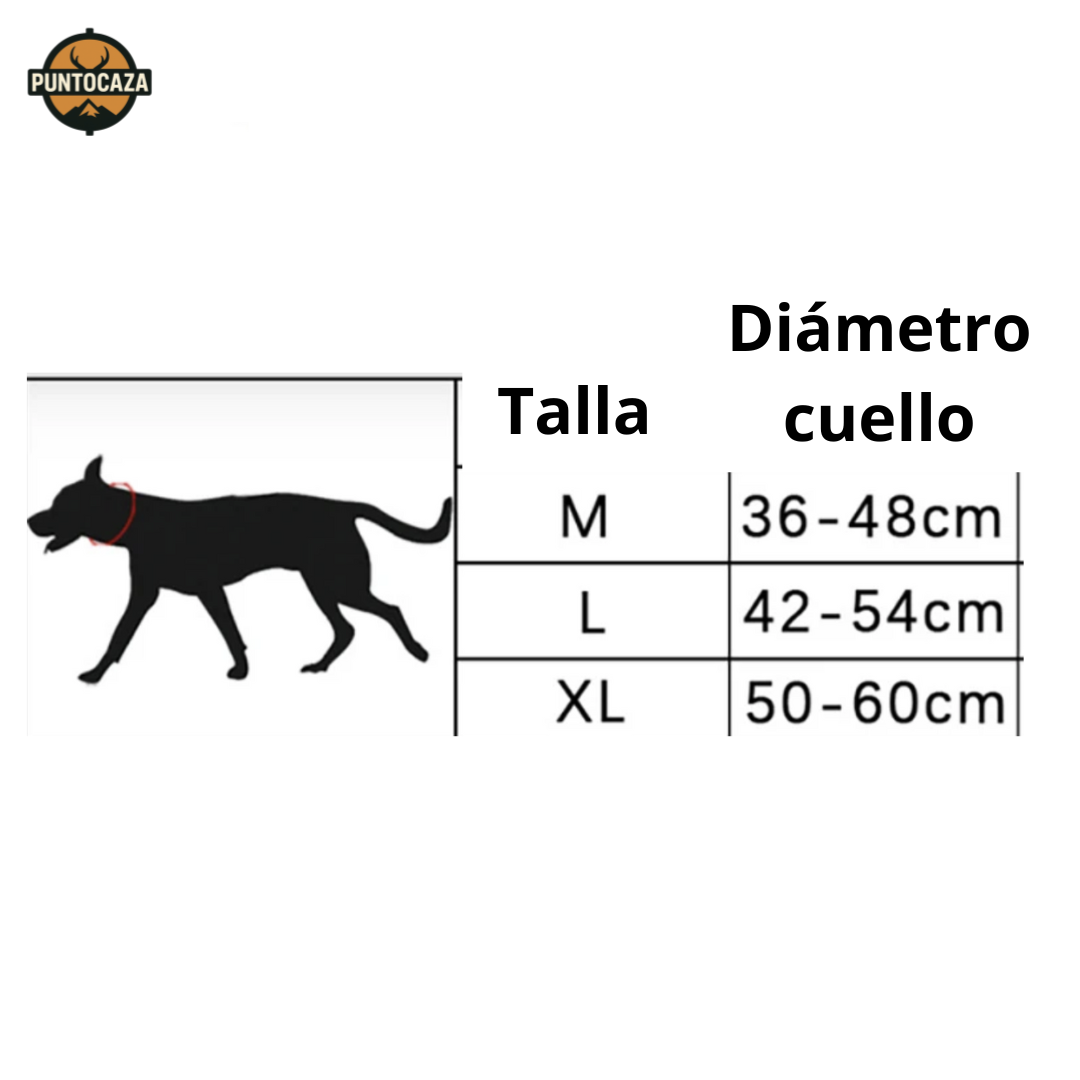 Collar Reforzado para Perros – Acolchado, Ajustable y con Cierre Metálico de Alta Resistencia