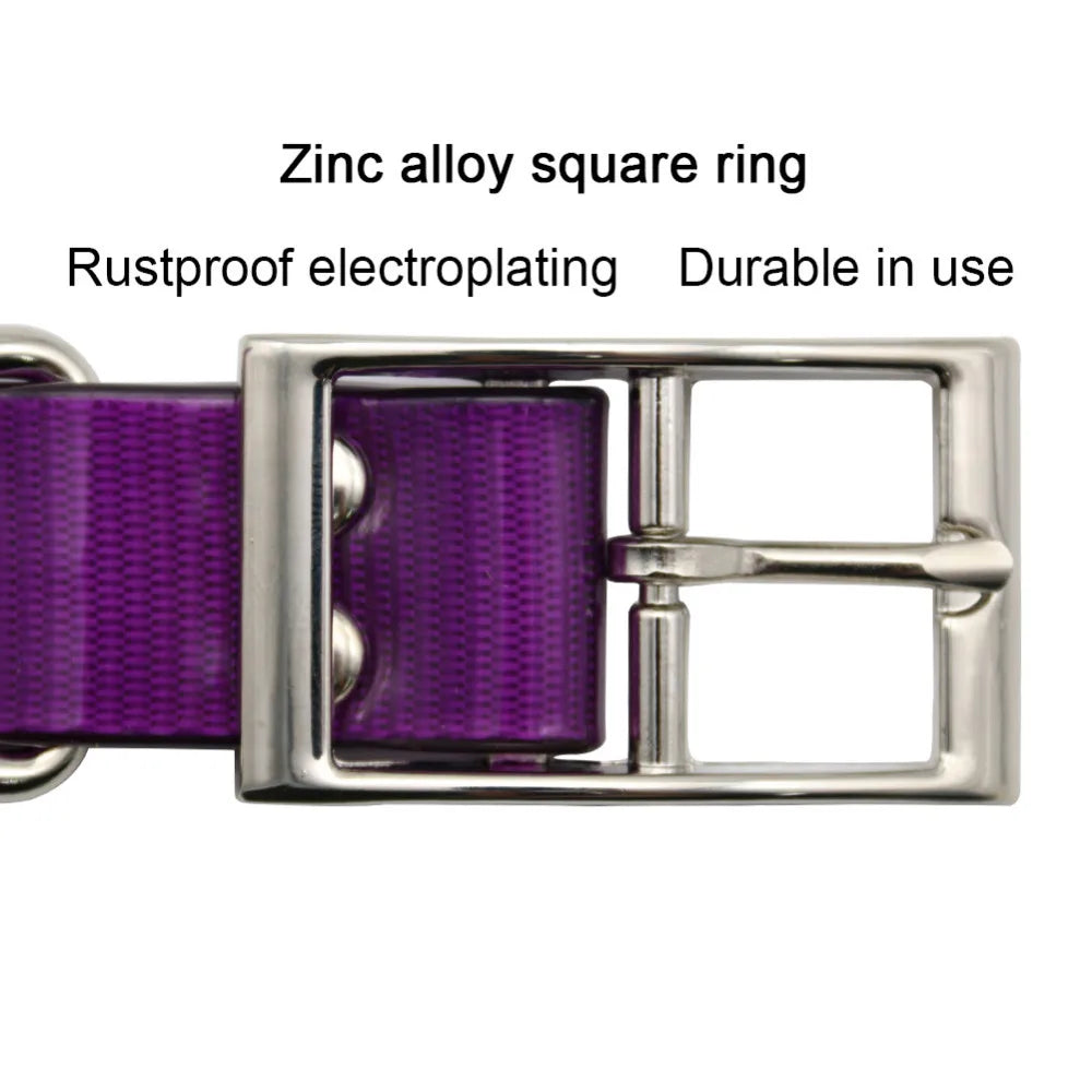 Collar Resistente para Perros de Caza – Alta Visibilidad y Durabilidad e Impermeable