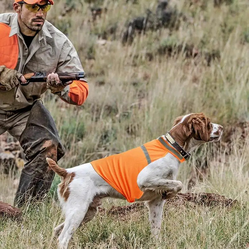 Chaleco de Alta Visibilidad Naranja para Perro de Caza –con Banda Reflectante