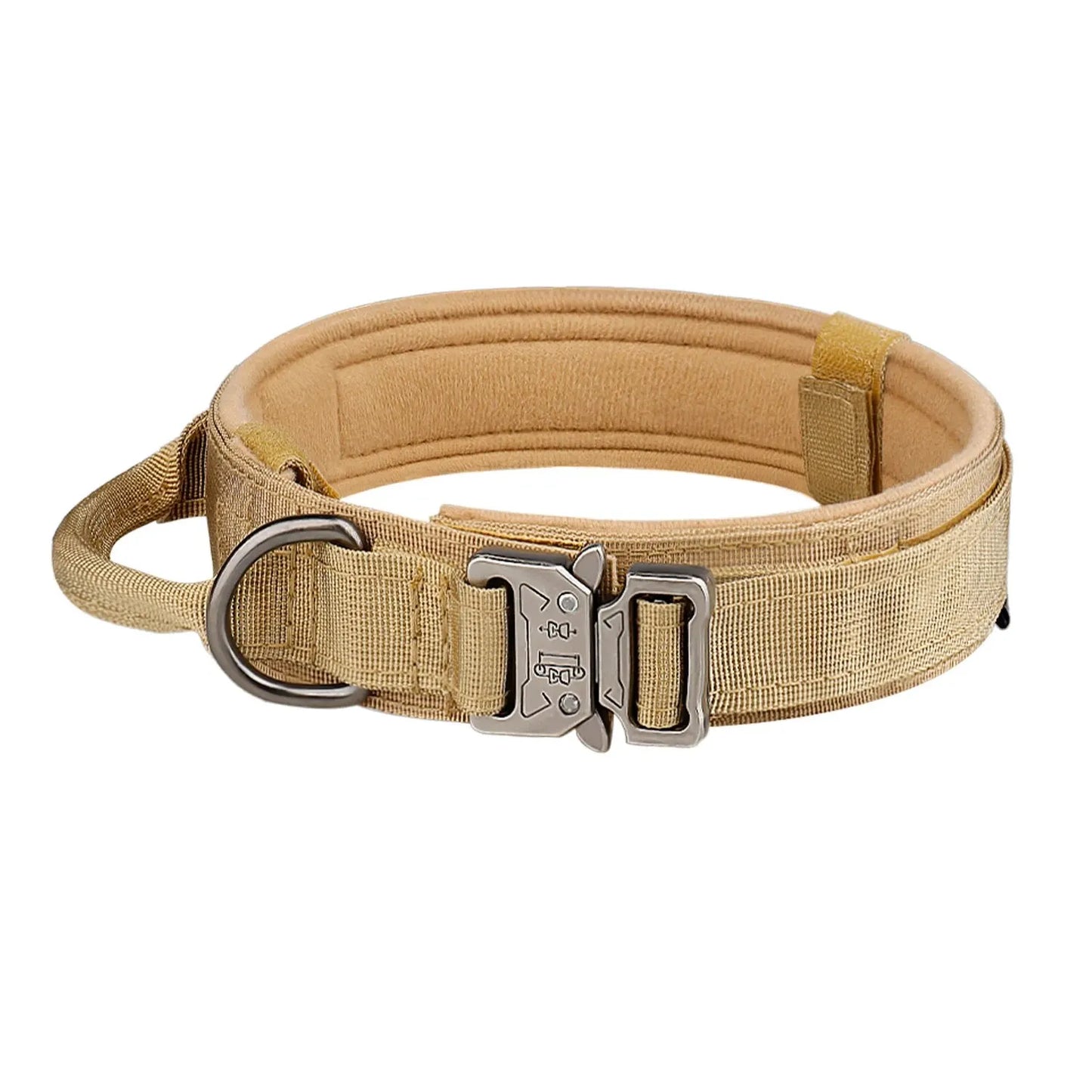 Collar Reforzado para Perros – Acolchado, Ajustable y con Cierre Metálico de Alta Resistencia