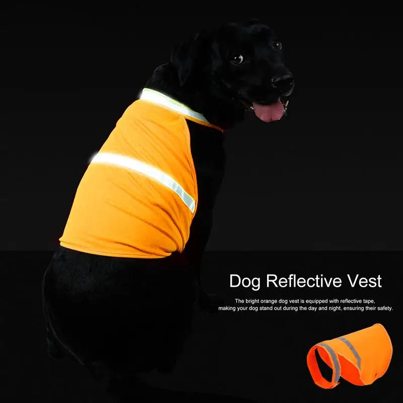 Chaleco de Alta Visibilidad Naranja para Perro de Caza –con Banda Reflectante