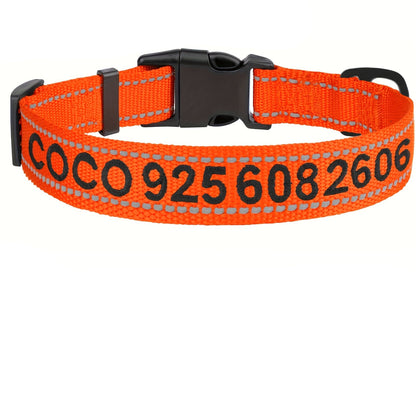 Collar Perros Personalizado (Nombre y Teléfono)