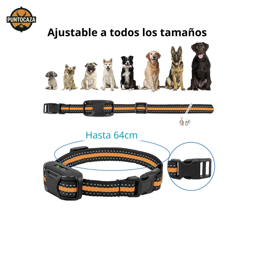 Collar adiestramiento perro vibraciones, sonidos e impulsos electrostáticos. Con mando a distancia incluido