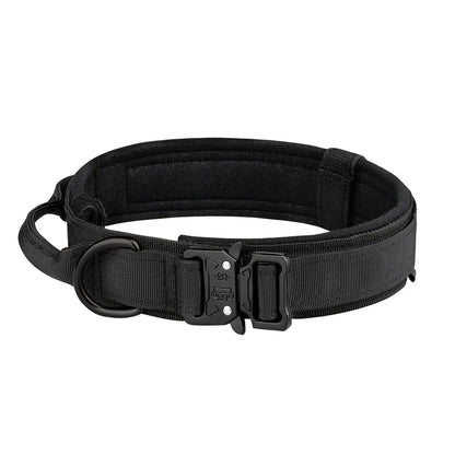 Collar Reforzado para Perros – Acolchado, Ajustable y con Cierre Metálico de Alta Resistencia