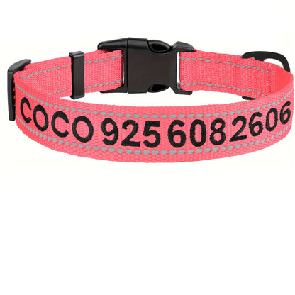Collar Perros Personalizado (Nombre y Teléfono)
